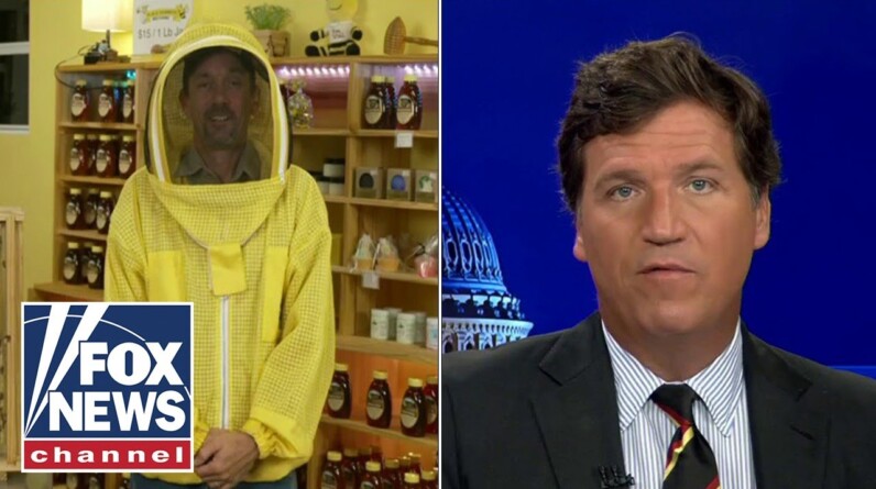Bee expert warns Tucker about the extinction of bees