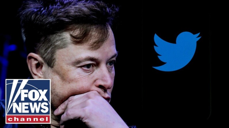 Elon Musk shined spotlight on government overreach: Rep. Stefanik