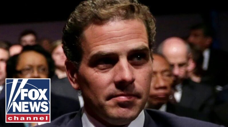 Hunter Biden investigation is turning into a ‘coverup’: GOP lawmaker