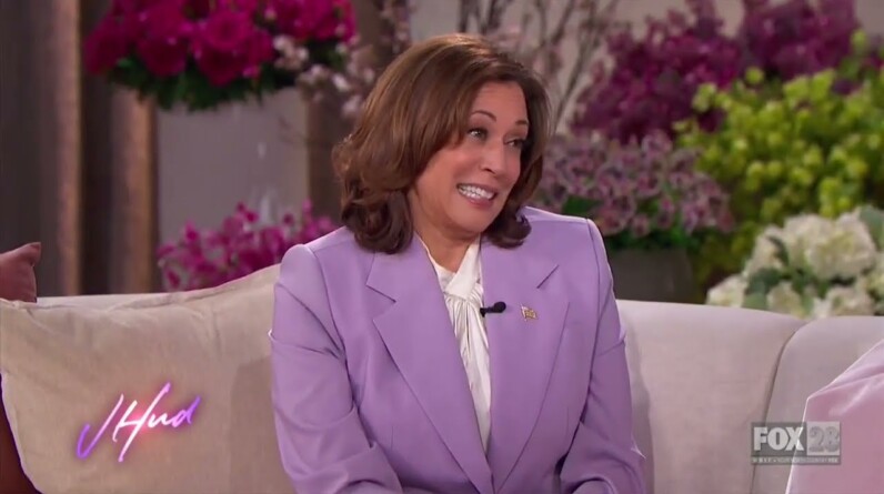 Kamala Harris Illustrates What She Misses Since Becoming VP By Saying She Loves The Godfather Movie