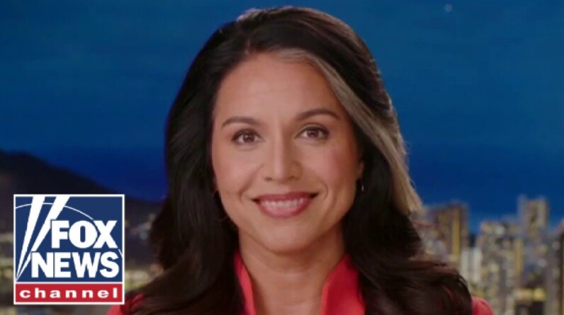 Tulsi Gabbard: This is literal insanity