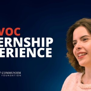 The VOC Internship Experience