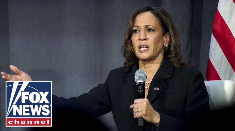 Kamala accuses GOP of using immigration to win votes: 'They like having the problem'