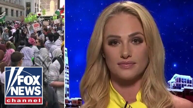 Tomi Lahren: 'This shows you how far the Democrat Party has fallen'