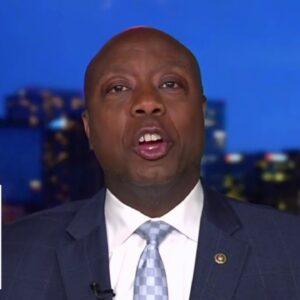 Sen. Tim Scott: Kamala is looking for ‘power and votes’